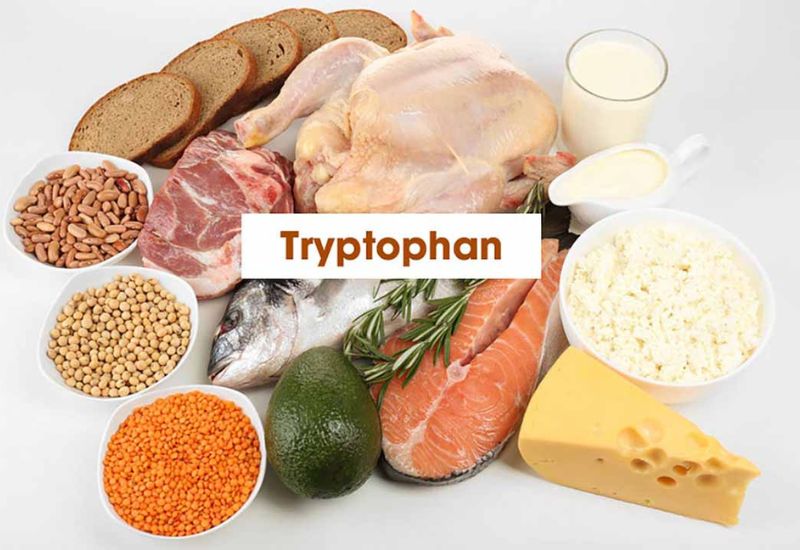 Tryptophan là gì? Công dụng, Lợi ích