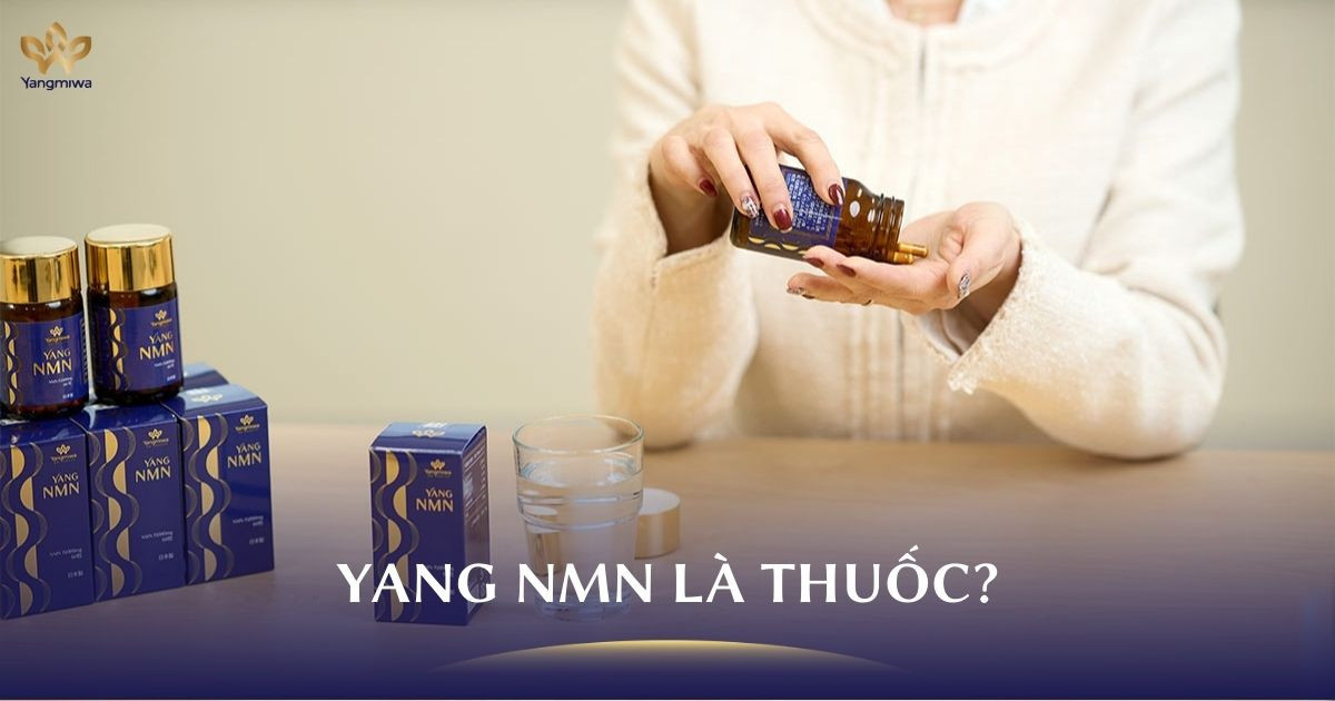Yang NMN có phải thuốc không? Hiểu đúng để dùng an toàn