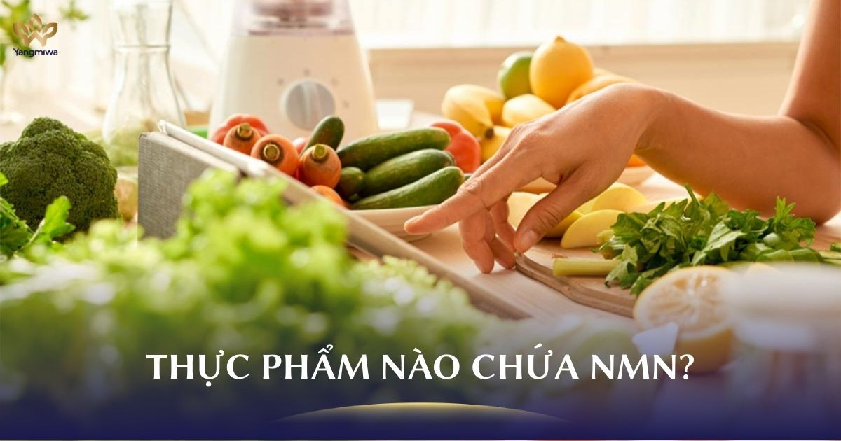NMN có trong thực phẩm nào? 5 loại bạn nên biết