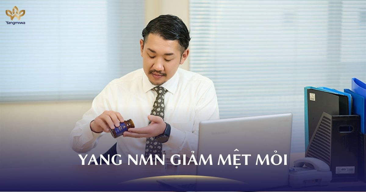 Yang NMN giúp tôi bớt mệt mỏi chỉ sau 1 tháng