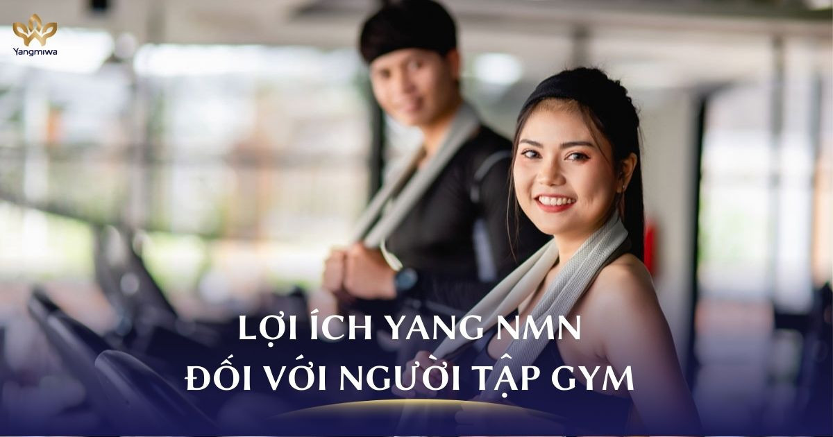 Người tập gym phục hồi nhanh và tăng sức bền nhờ Yang NMN