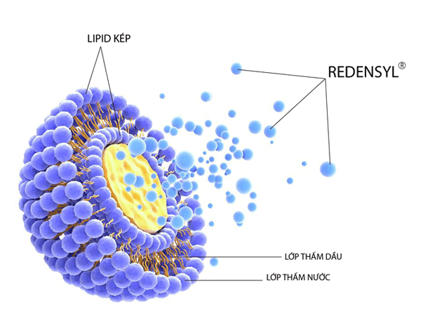 Công nghệ Liposome