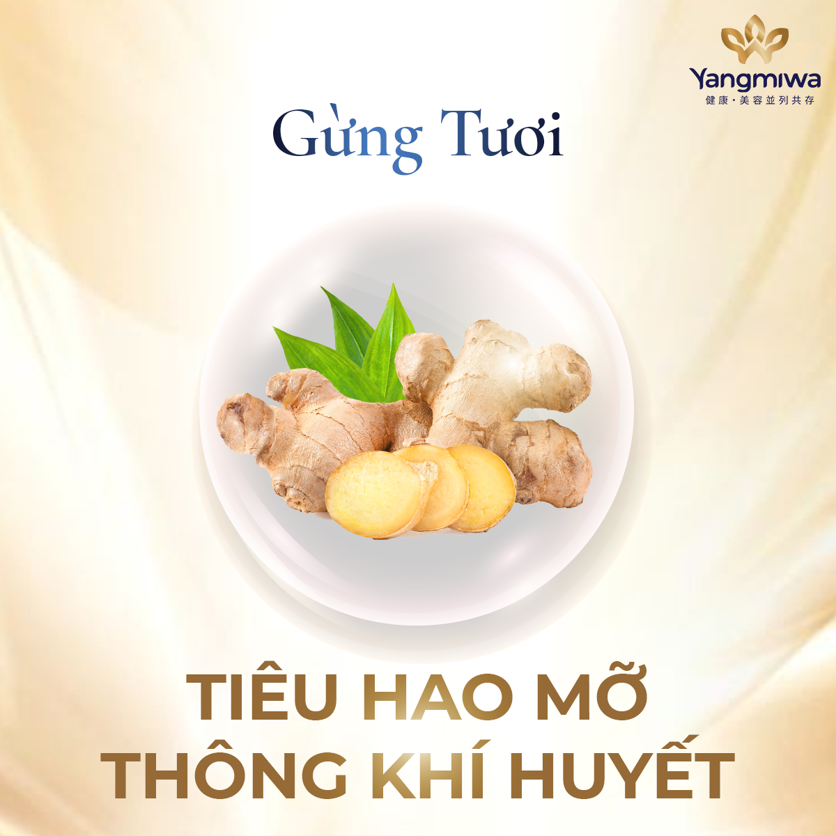 thuc-hu-cong-dung-tan-mo-cua-gung