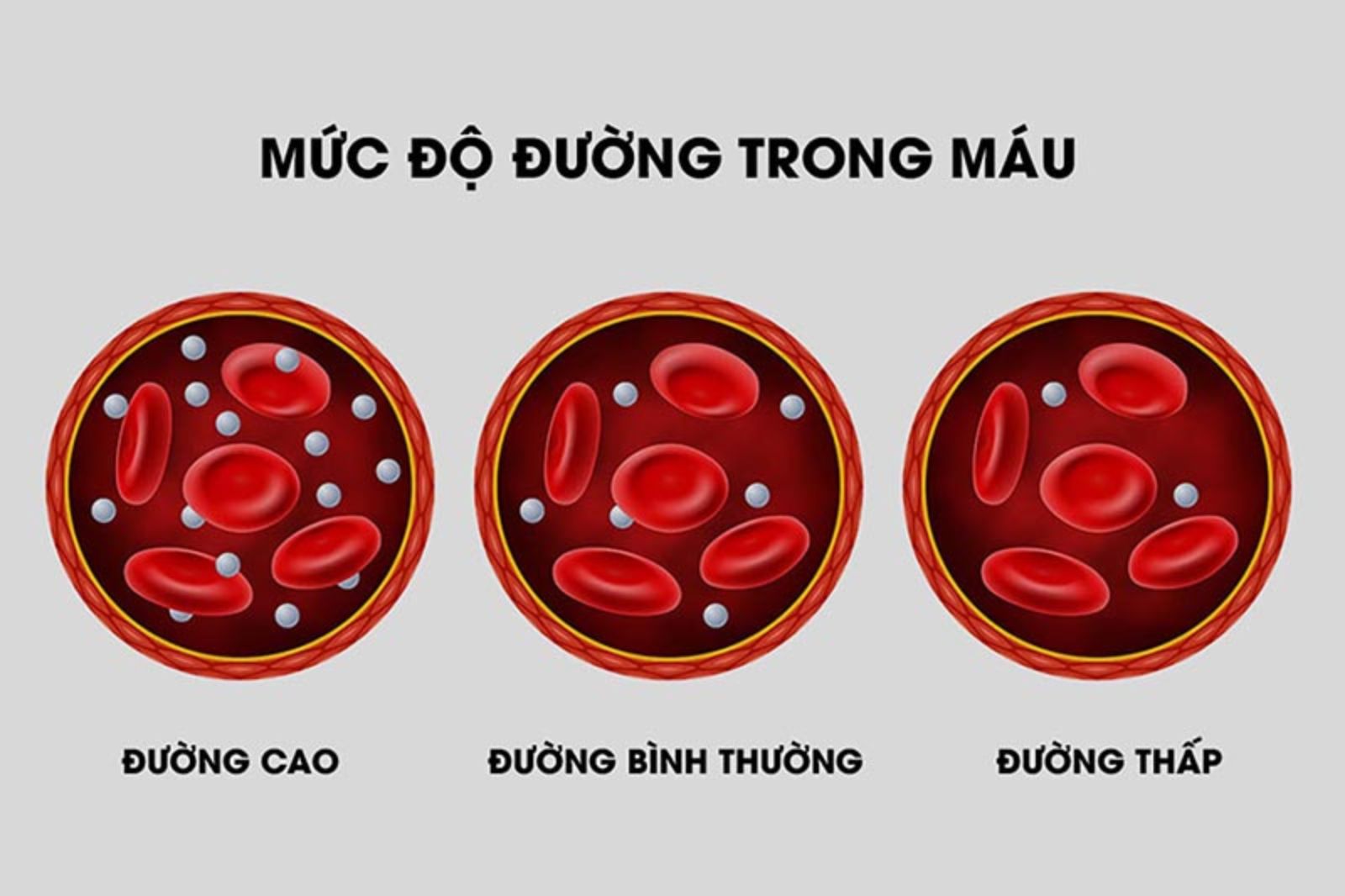 Cách nào giảm glucose trong máu?