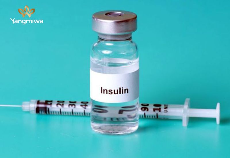 Insulin có tác dụng gì với cơ thể?