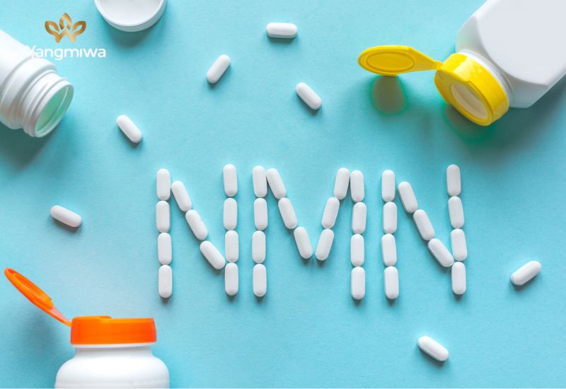 Nicotinamide Mononucleotide (NMN) là gì?