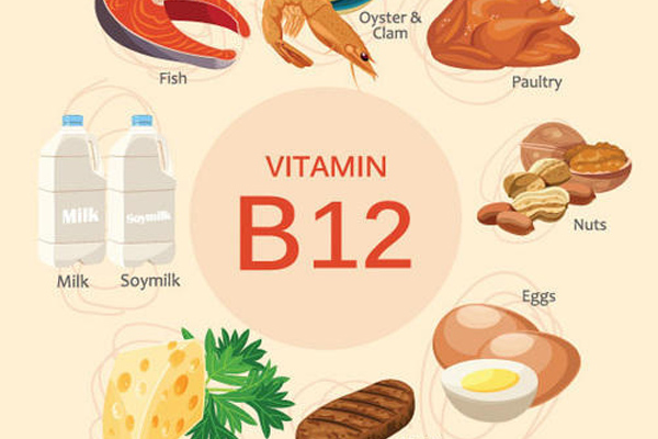 Các thực phẩm giàu vitamin B12