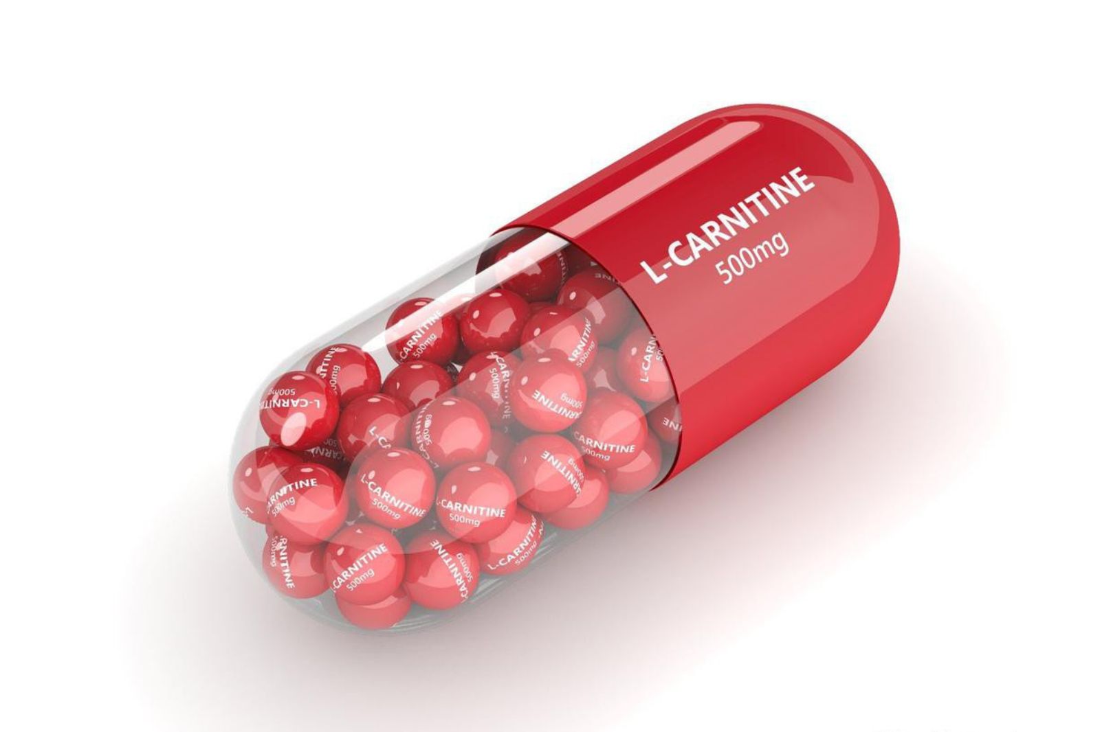 Nhu cầu l-carnitine của cơ thể