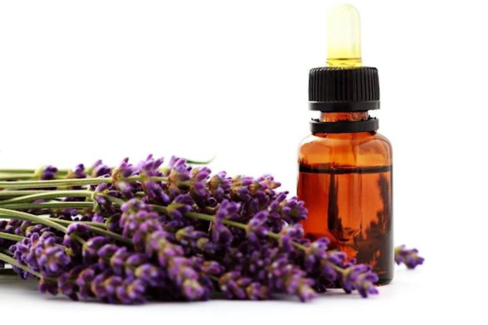 Dầu Lavender giúp ngủ ngon có tốt không?
