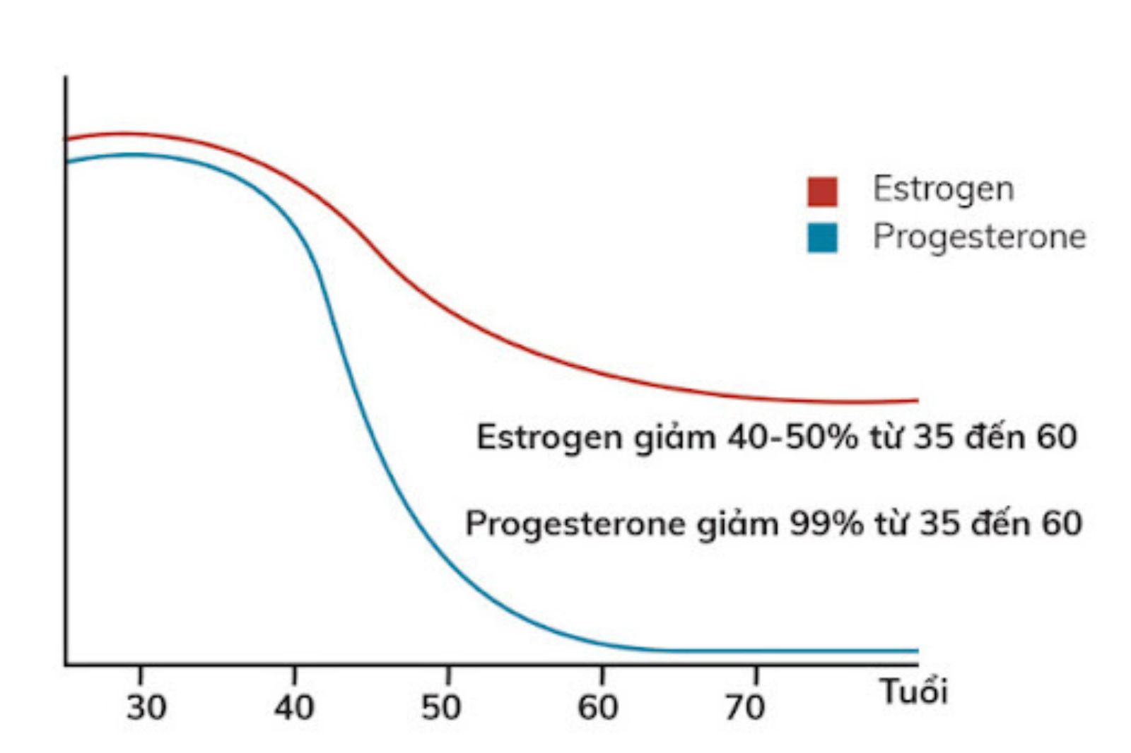 thay-doi-estrogen-thoi-ky-man-kinh