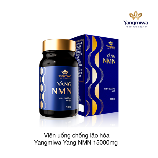 cac-hoat-chat-chong-lao-hoa