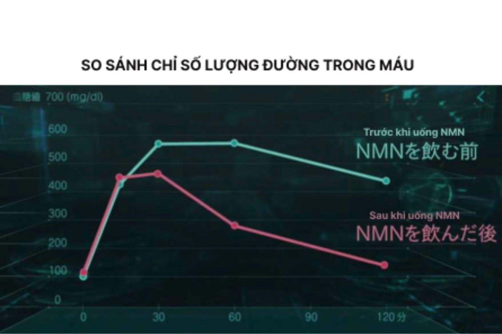 nmn-co-tot-cho-nguoi-tieu-duong