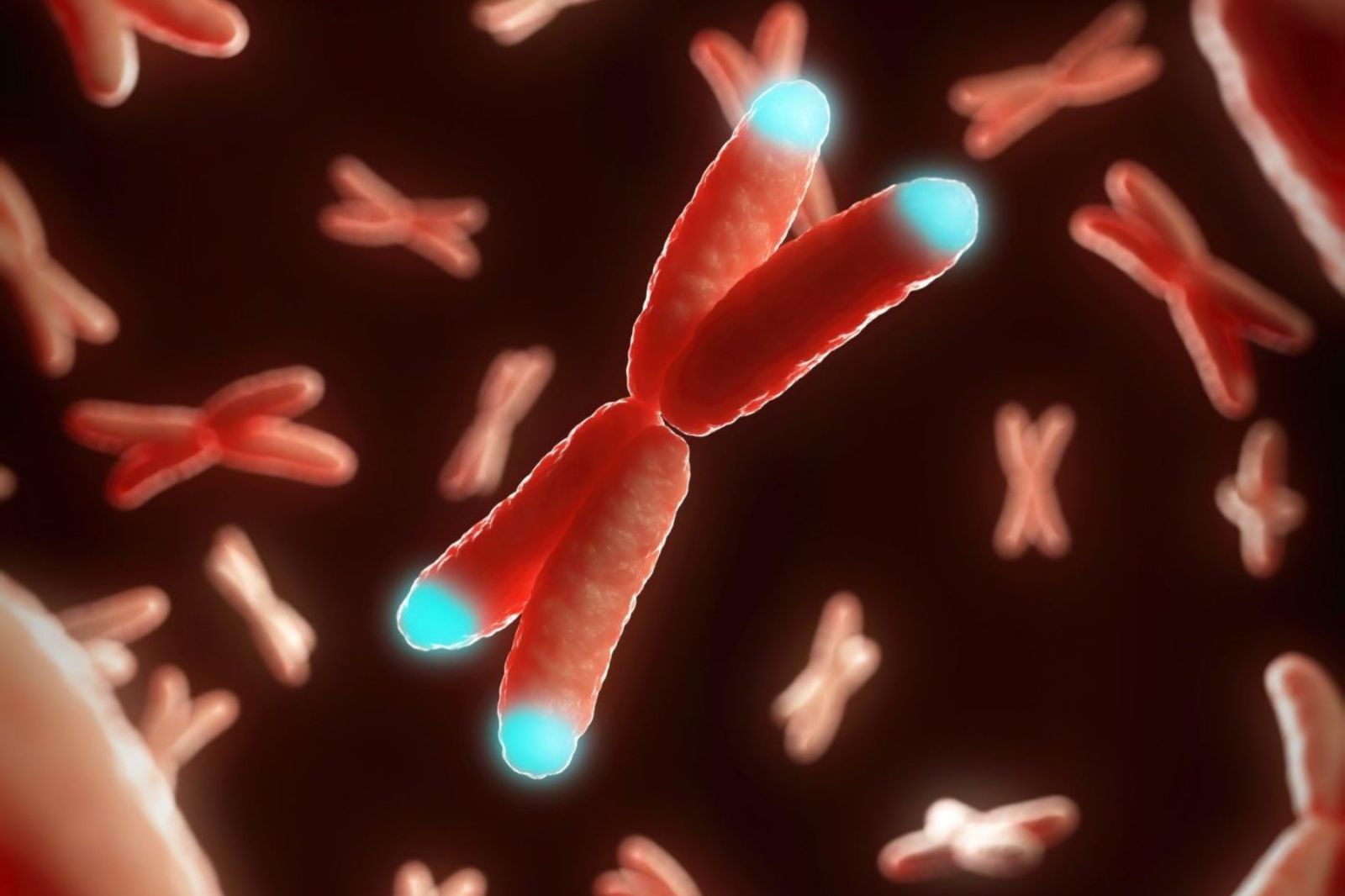 Telomere: Điều gì gây ra lão hóa sinh học?