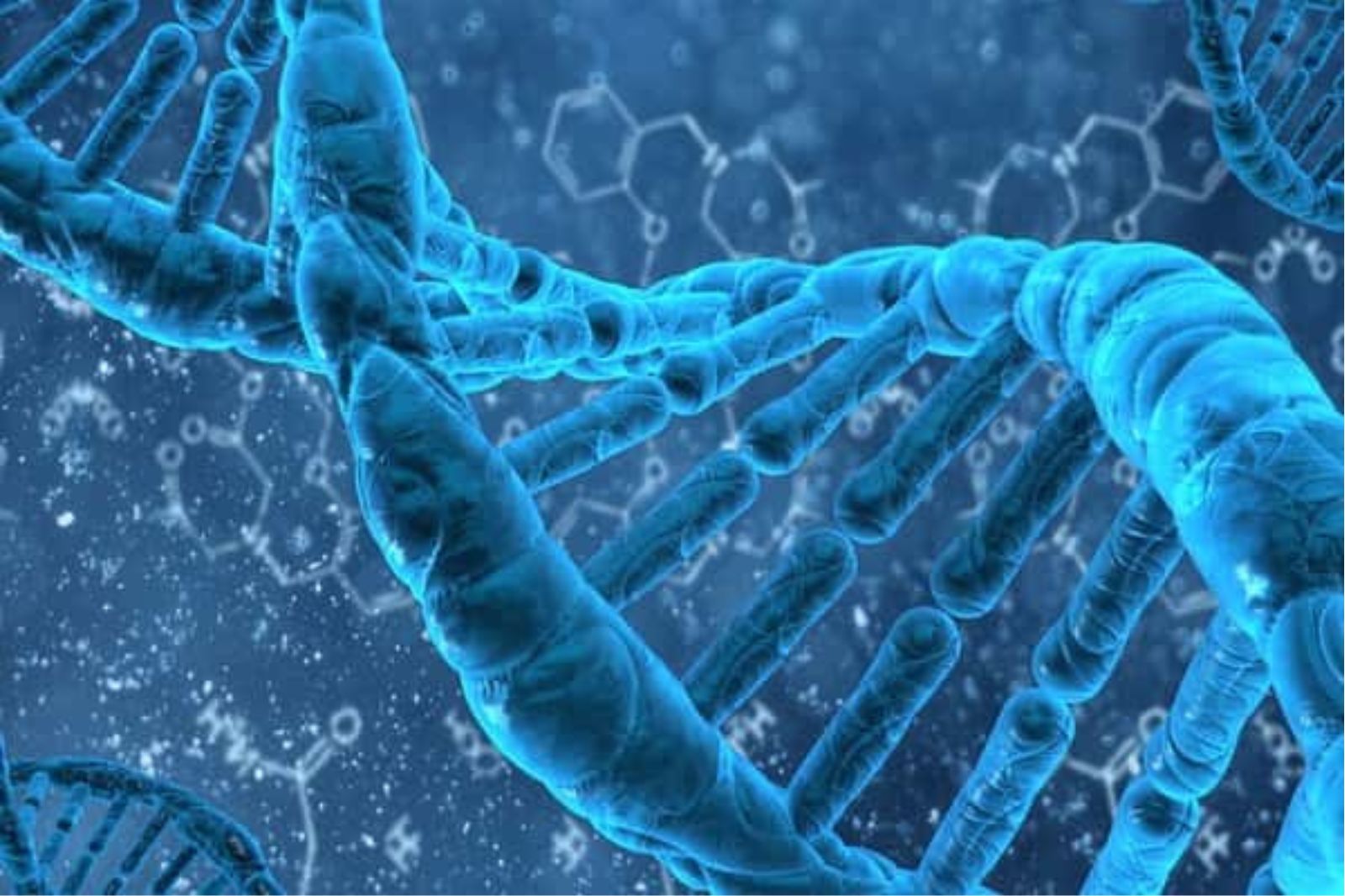 Các yếu tố khiến DNA bị hư tổn