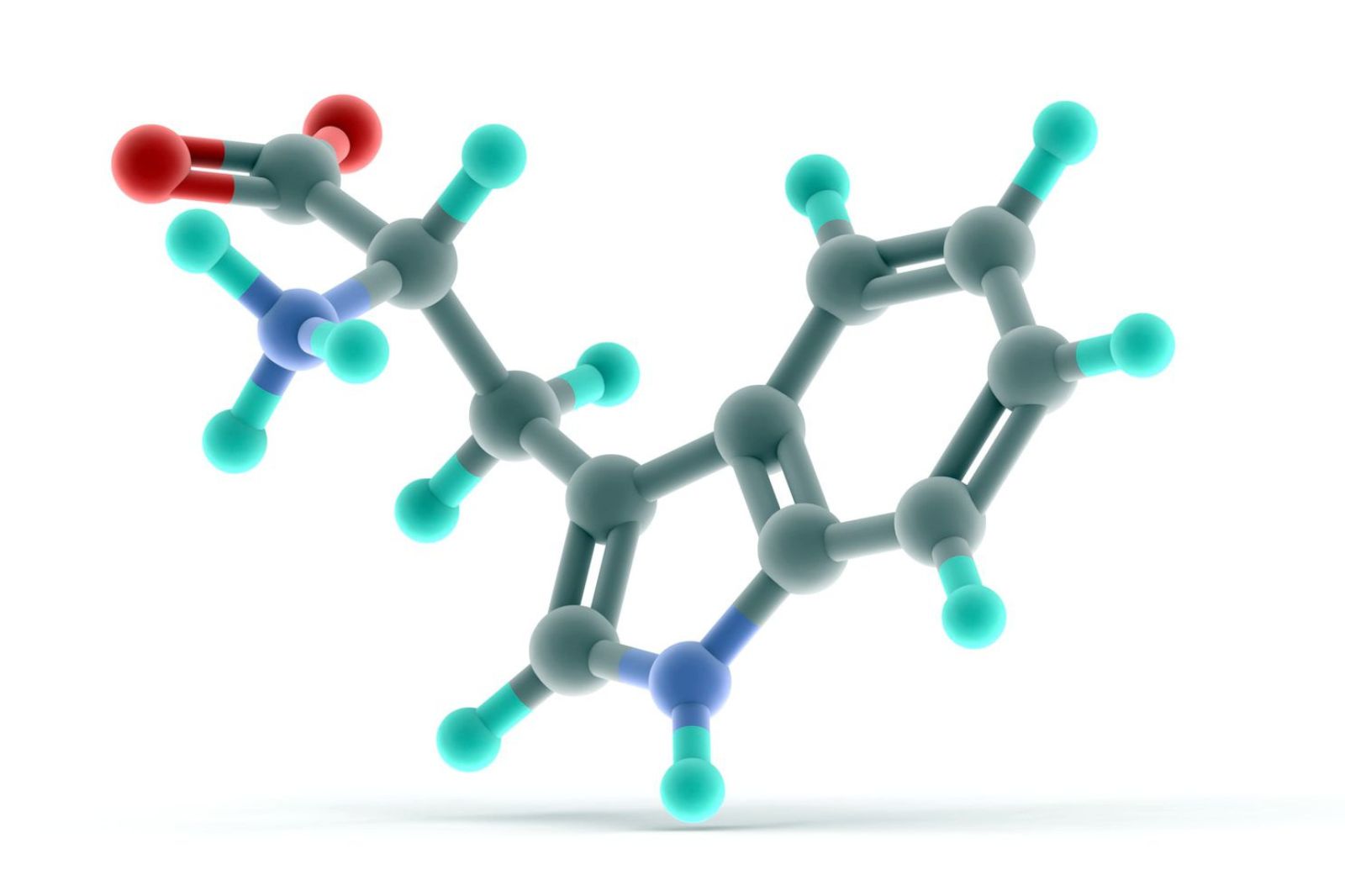 tryptophan 