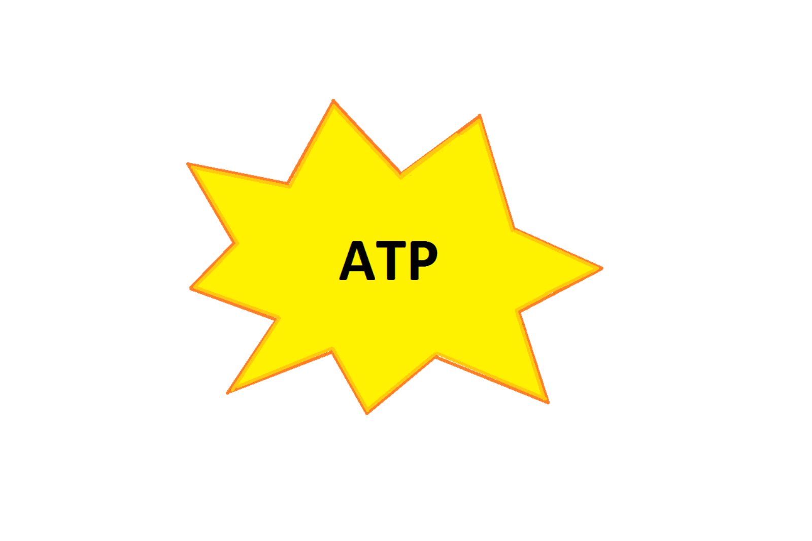 nang-luong-atp