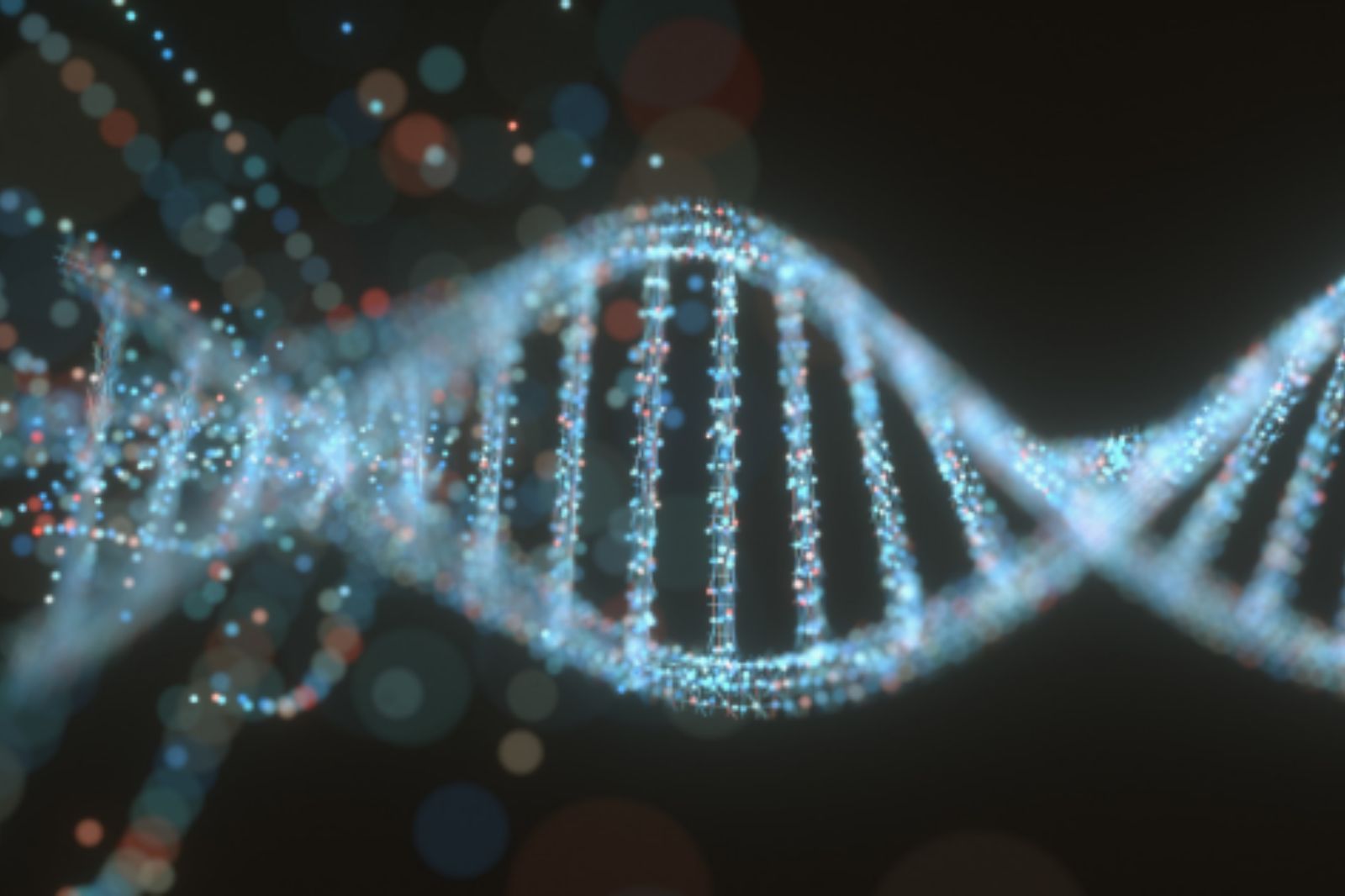 Vai trò của PARP trong sửa chữa DNA bị hư tổn