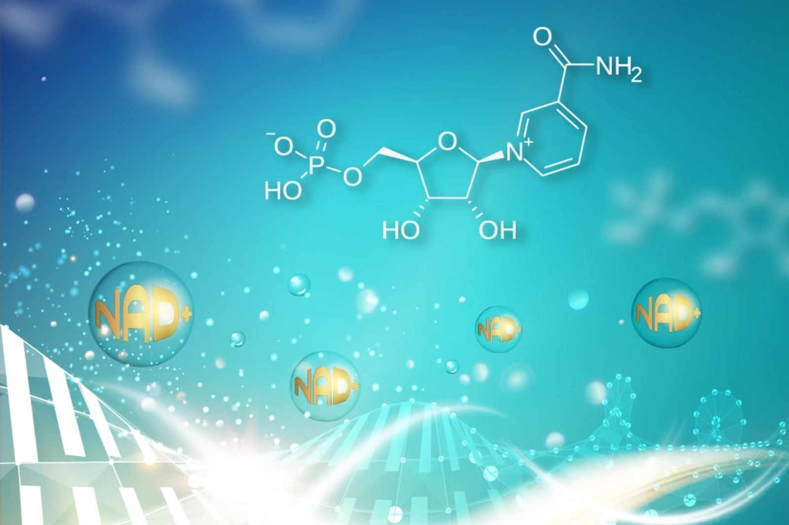 NMN có tốt cho người bị tiểu đường không?