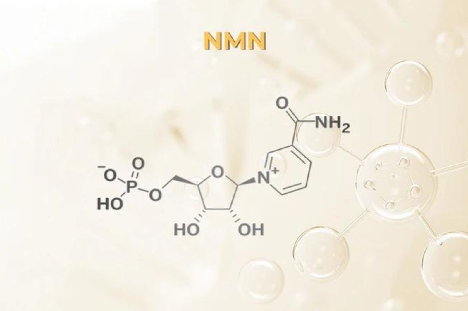 Hiệu quả và độ an toàn của việc bổ sung β-nicotinamide mononucleotide (NMN) ở người trưởng thành trung niên khỏe mạnh