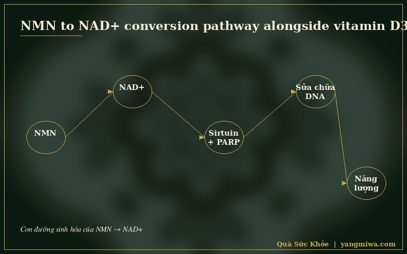 Diagram 3