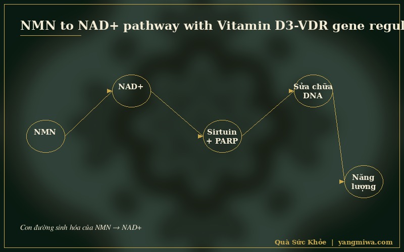 Diagram 3