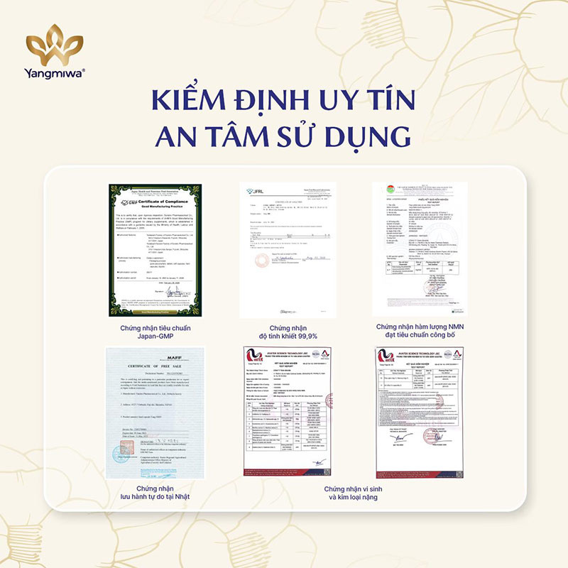 Yang NMN được kiểm định uy t&iacute;n, an t&acirc;m sử dụng