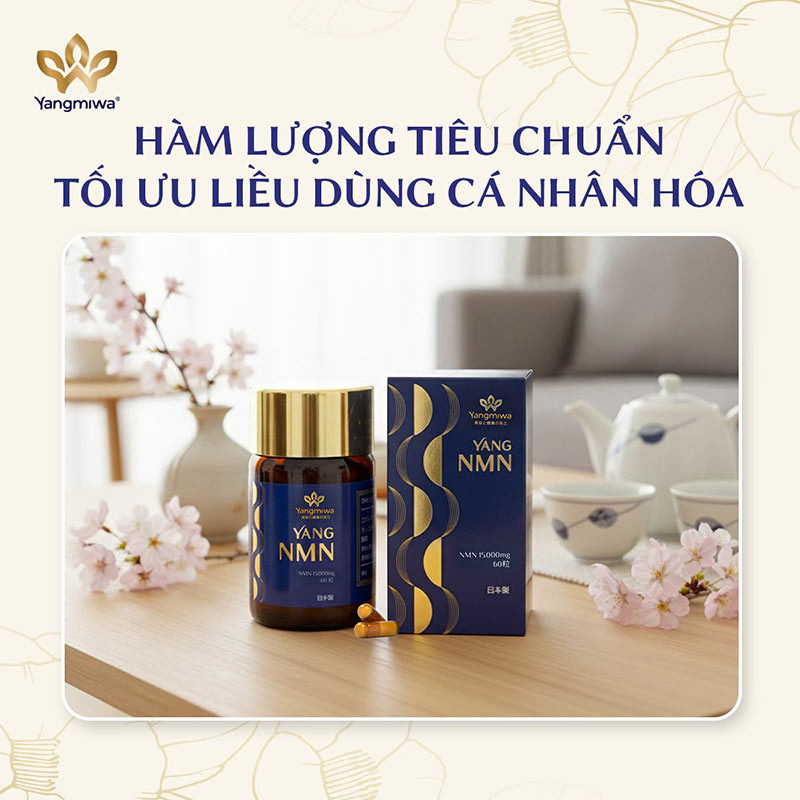 Yang NMN c&oacute; h&agrave;m lượng NMN ti&ecirc;u chuẩn, liều d&ugrave;ng c&aacute; nh&acirc;n h&oacute;a