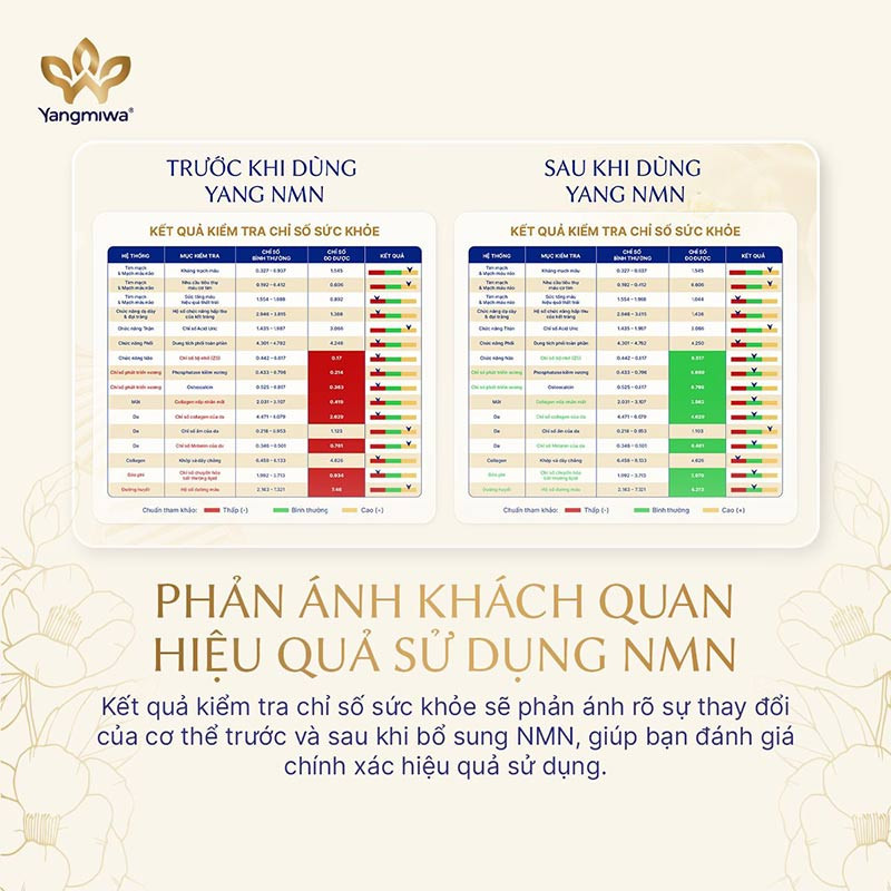 Người d&ugrave;ng ho&agrave;n to&agrave;n c&oacute; thể theo d&otilde;i hiệu quả bổ sung Yang NMN th&ocirc;ng qua c&aacute;c chỉ số sức khỏe
