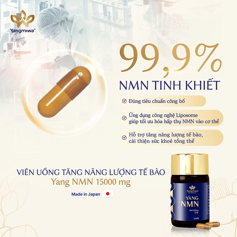Yang NMN từ Nhật Bản được nhiều người tin chọn để bổ sung NMN chất lượng, hiệu quả cao