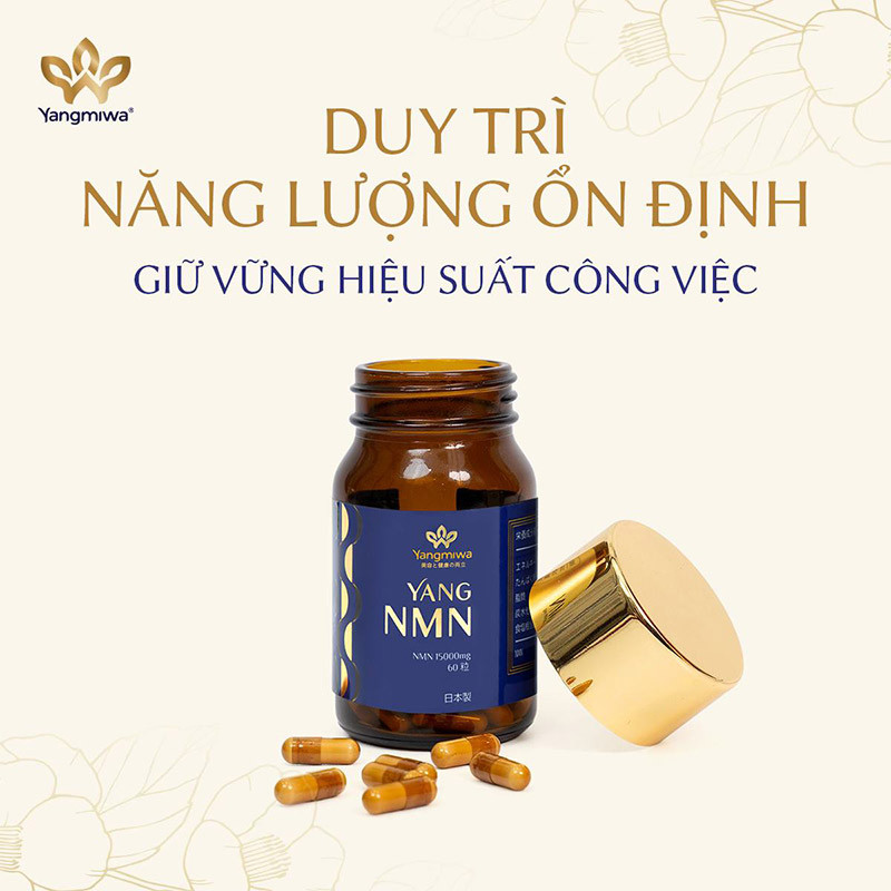 Yang NMN là sự lựa chọn phù hợp, tiện lợi cho người bận rộn, thường xuyên mệt mỏi