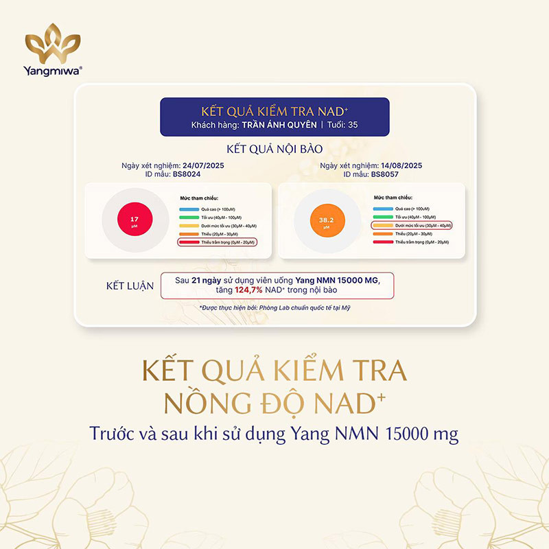 Hiệu quả bổ sung NMN từ Yang NMN được thể hiện r&otilde; rệt qua c&aacute;c chỉ số tầm so&aacute;t sức khỏe