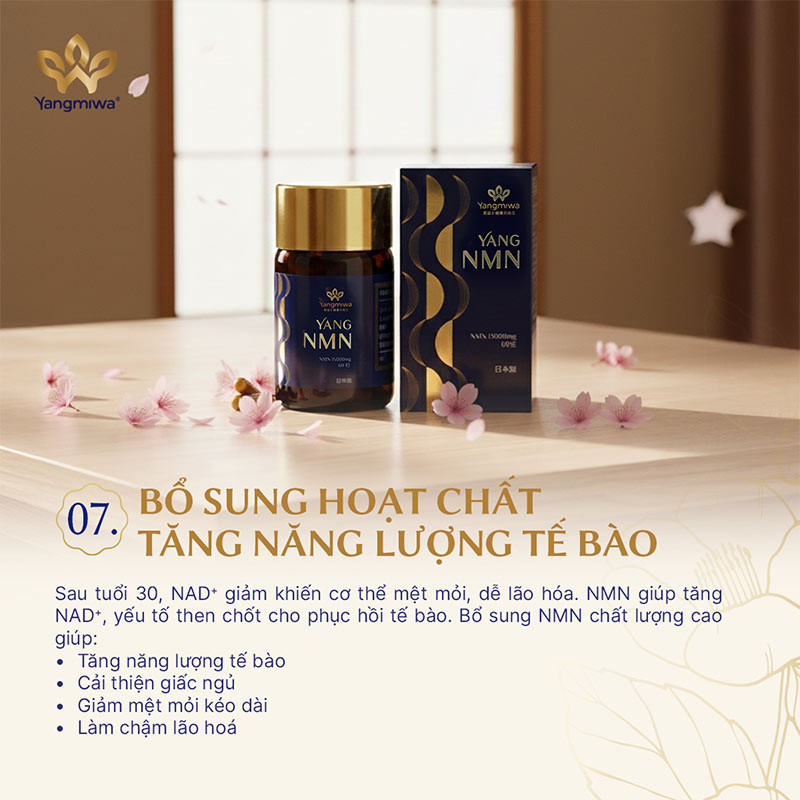 Yang NMN bổ sung hoạt chất NMN chất lượng, hỗ trợ cải thiện c&aacute;c dấu hiệu giảm NAD⁺