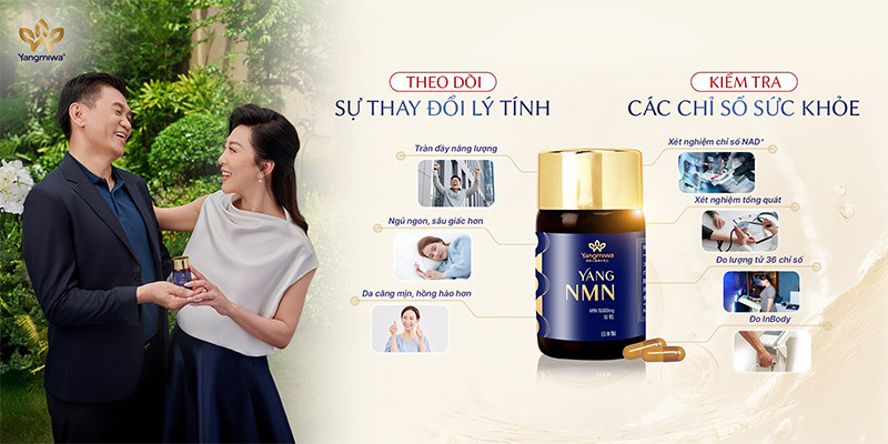 Yang NMN l&agrave;  giải ph&aacute;p hỗ trợ sức khỏe hiệu quả, đặc biệt khi kết hợp tầm so&aacute;t sức khỏe