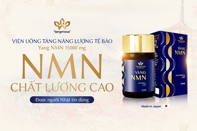 Yang NMN Nhật Bản hỗ trợ phục hồi năng lượng cho người mệt mỏi k&eacute;o d&agrave;i