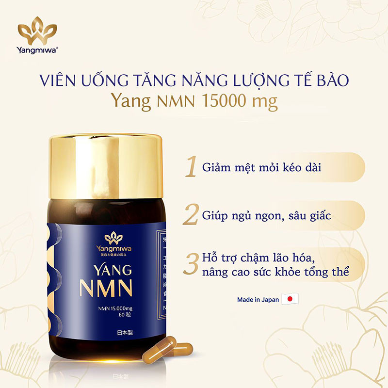 Yang NMN với nhiều lợi ích nổi trội trong việc cải thiện sức khỏe, duy trì cơ thể khỏe mạnh