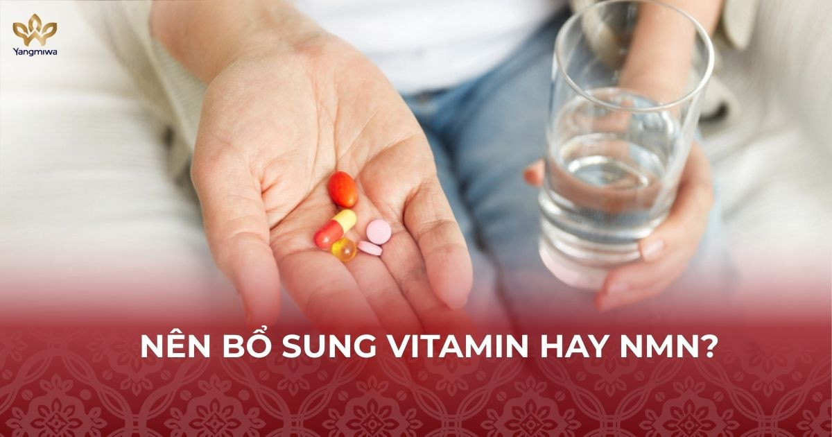 Bổ sung vitamin cho người lớn tuổi cải thiện năng lượng tế bào