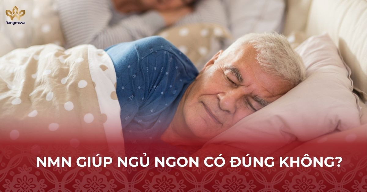 NMN giúp ngủ ngon và vai trò giấc ngủ sâu đối với tuổi thọ ba mẹ