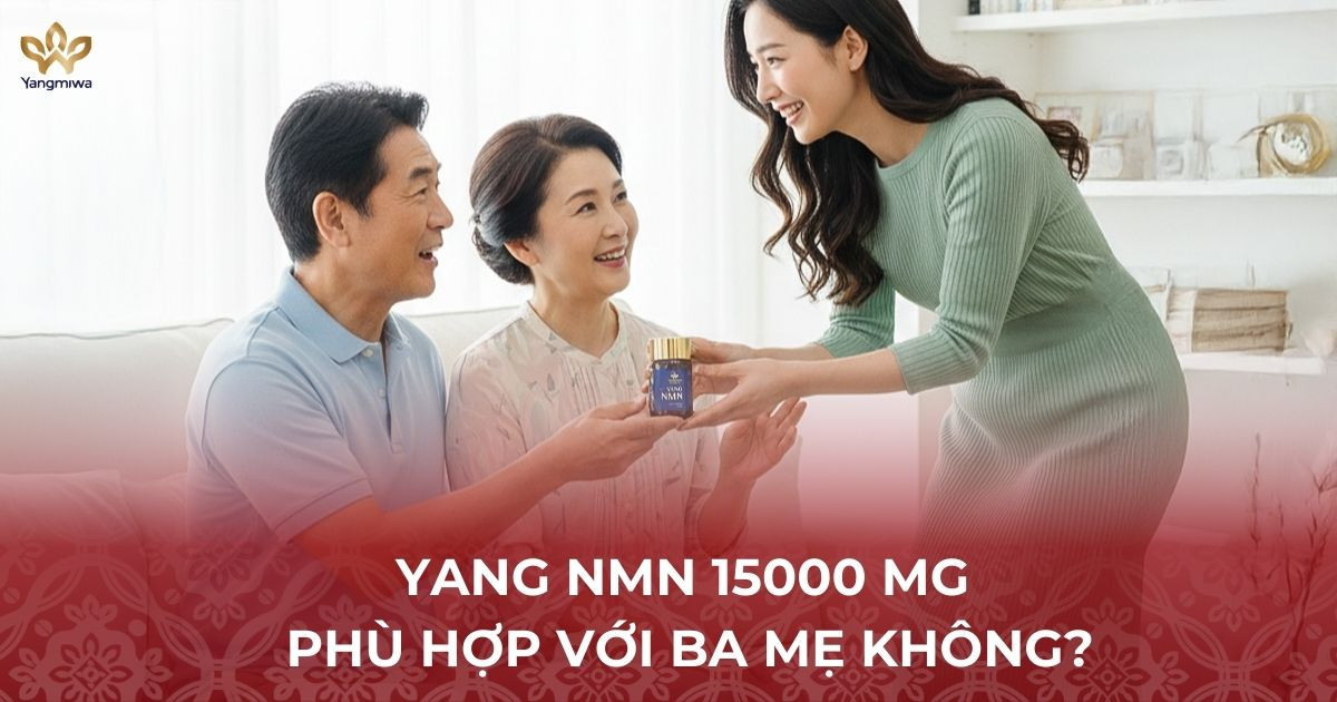 Yang NMN 15000 mg phù hợp cho ba mẹ bạn như thế nào?