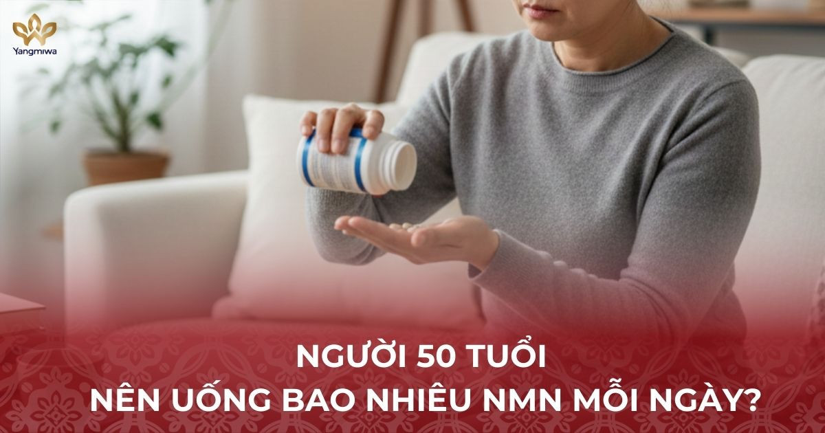 Liệu trình uống NMN cần bao nhiêu mg/ngày là phù hợp cho ba mẹ sau 50 tuổi