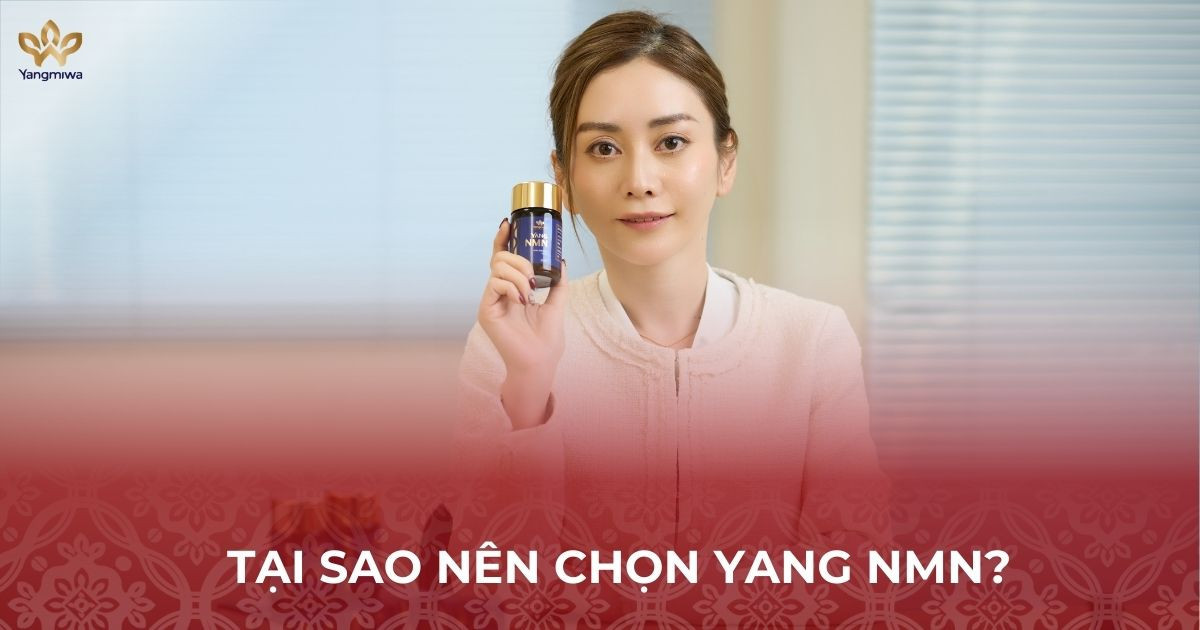 Tại sao nên chọn Yang NMN Nhật Bản để chăm sóc sức khỏe?