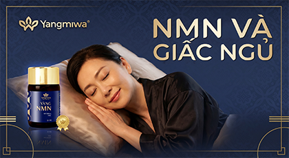 NMN Va Giac Ngu: Cach NMN Giup Ban Ngu Sau Hon Ma Khong Can Thuoc