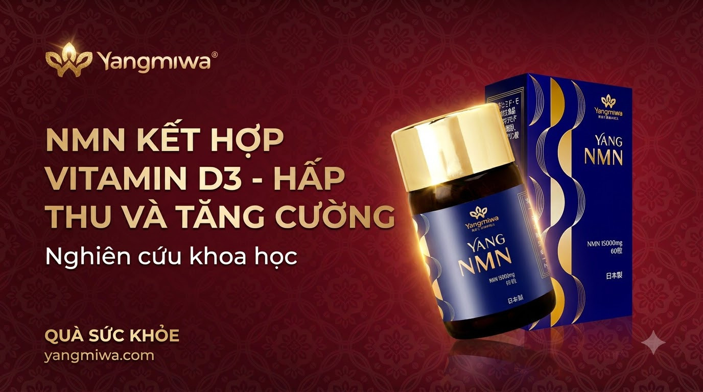 NMN kết hợp Vitamin D3: Hấp thu tối ưu, năng lượng bền vững