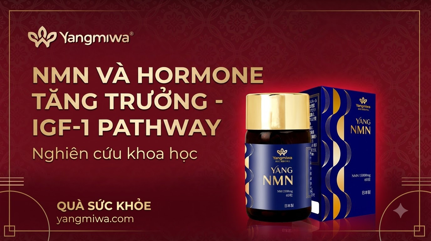 NMN và hormone tăng trưởng: Kích hoạt IGF-1 cho trường thọ