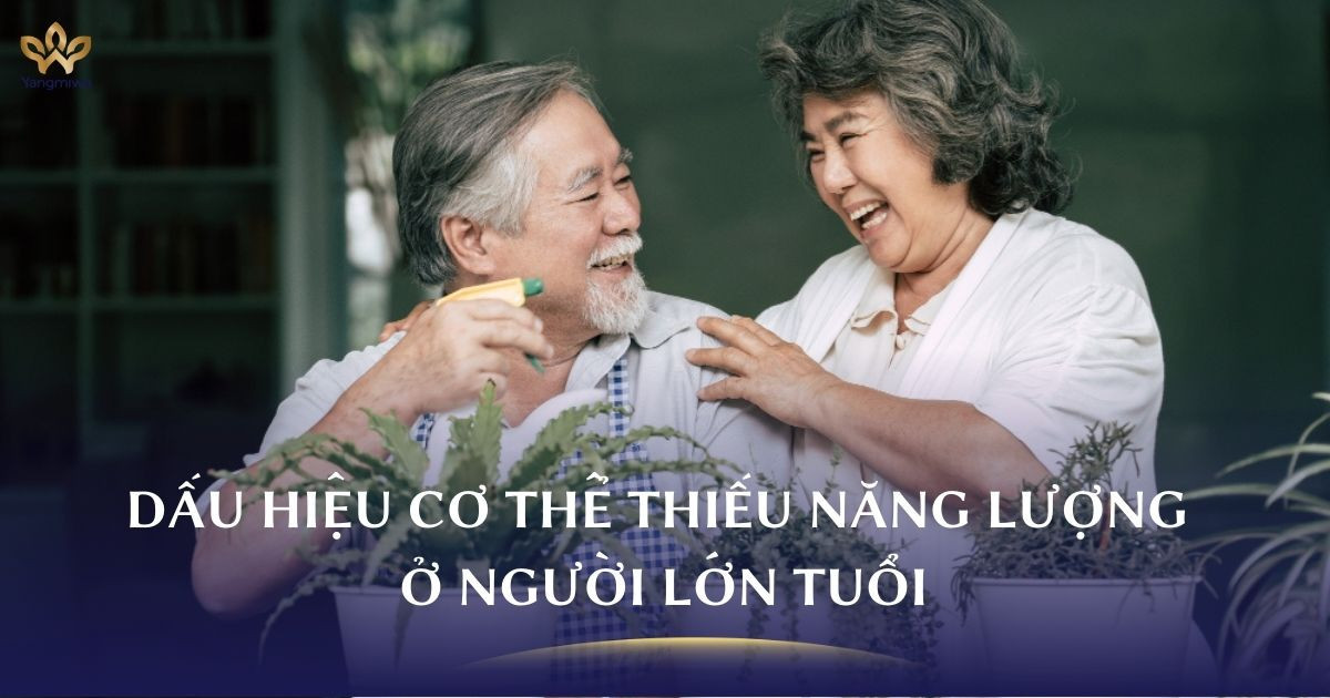 Dấu hiệu cơ thể thiếu năng lượng, nguy cơ giảm tuổi thọ ở người lớn tuổi