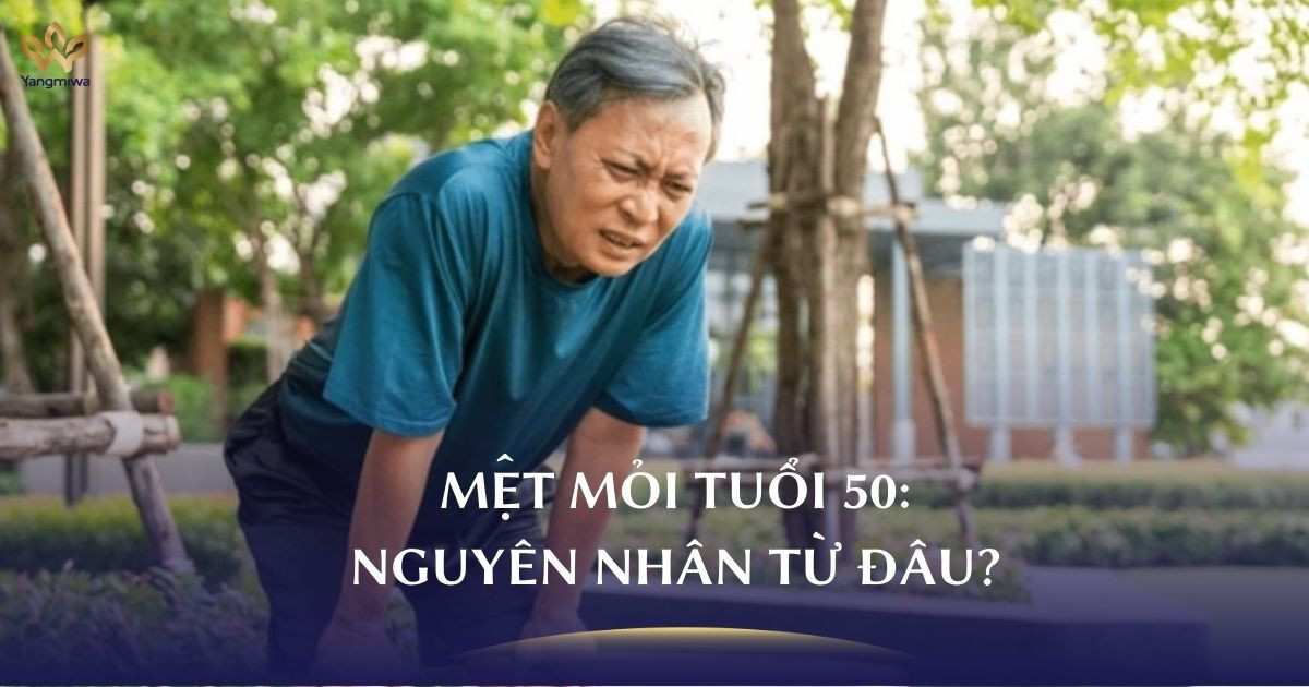 Người già thường xuyên mệt mỏi do tuổi tác hay do rối loạn năng lượng tế bào?