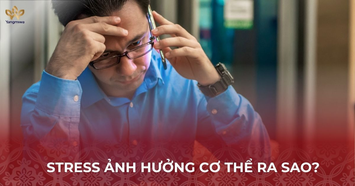 Stress kéo dài ảnh hưởng đến cơ thể ra sao?