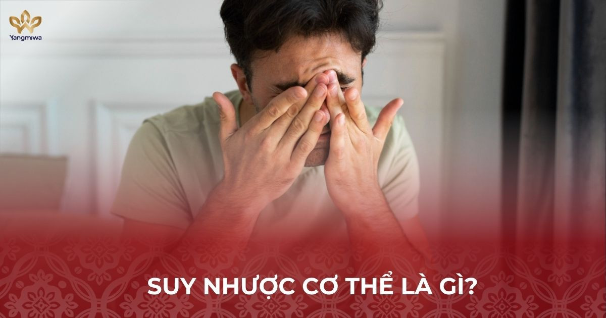 Suy nhược cơ thể là gì và vì sao khiến bạn luôn mệt?