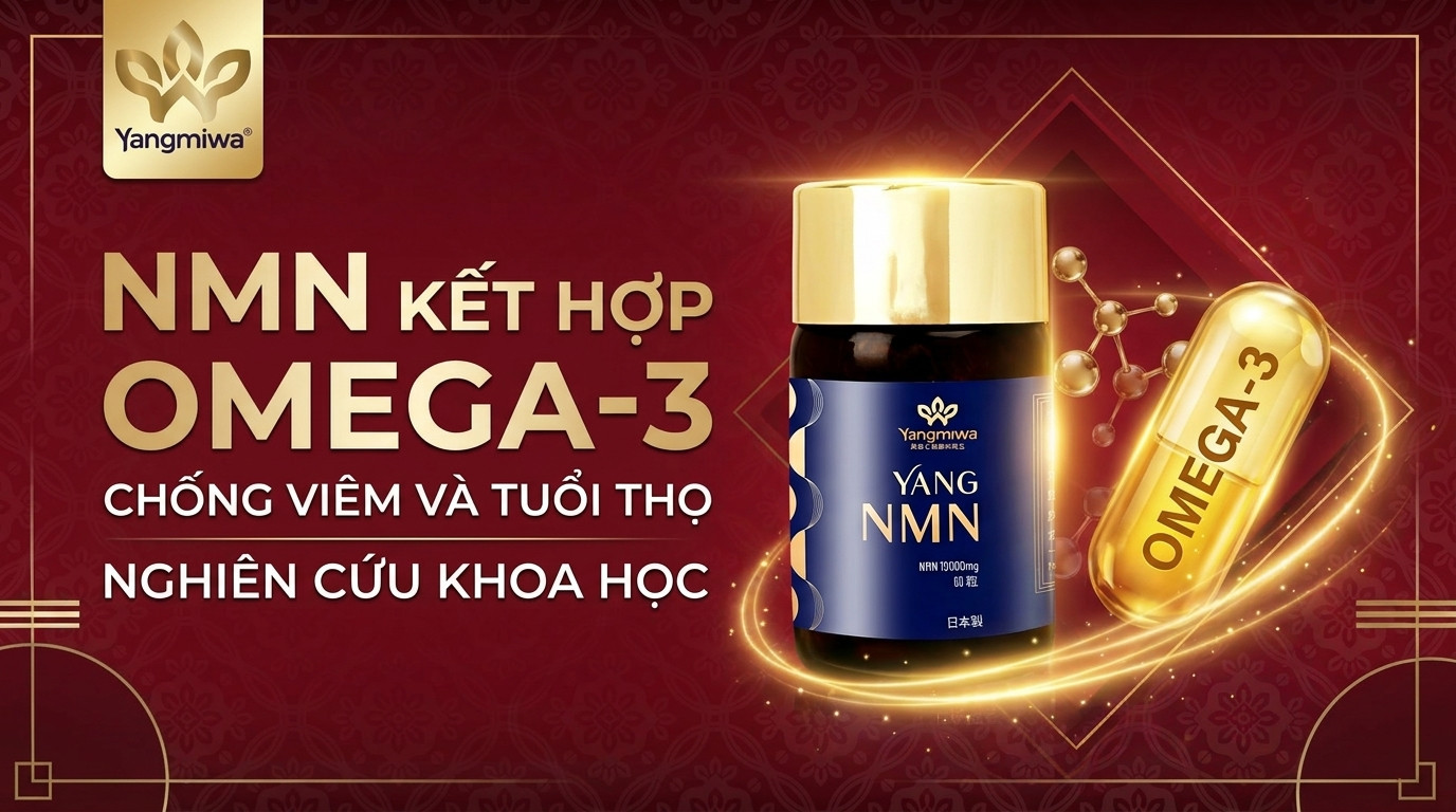 NMN kết hợp Omega-3: Bộ đôi chống viêm cho tuổi thọ khoẻ mạnh