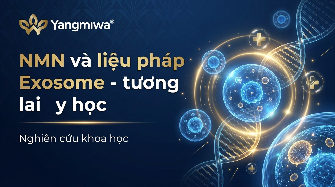NMN và liệu pháp Exosome: tương lai y học tái sinh tế bào