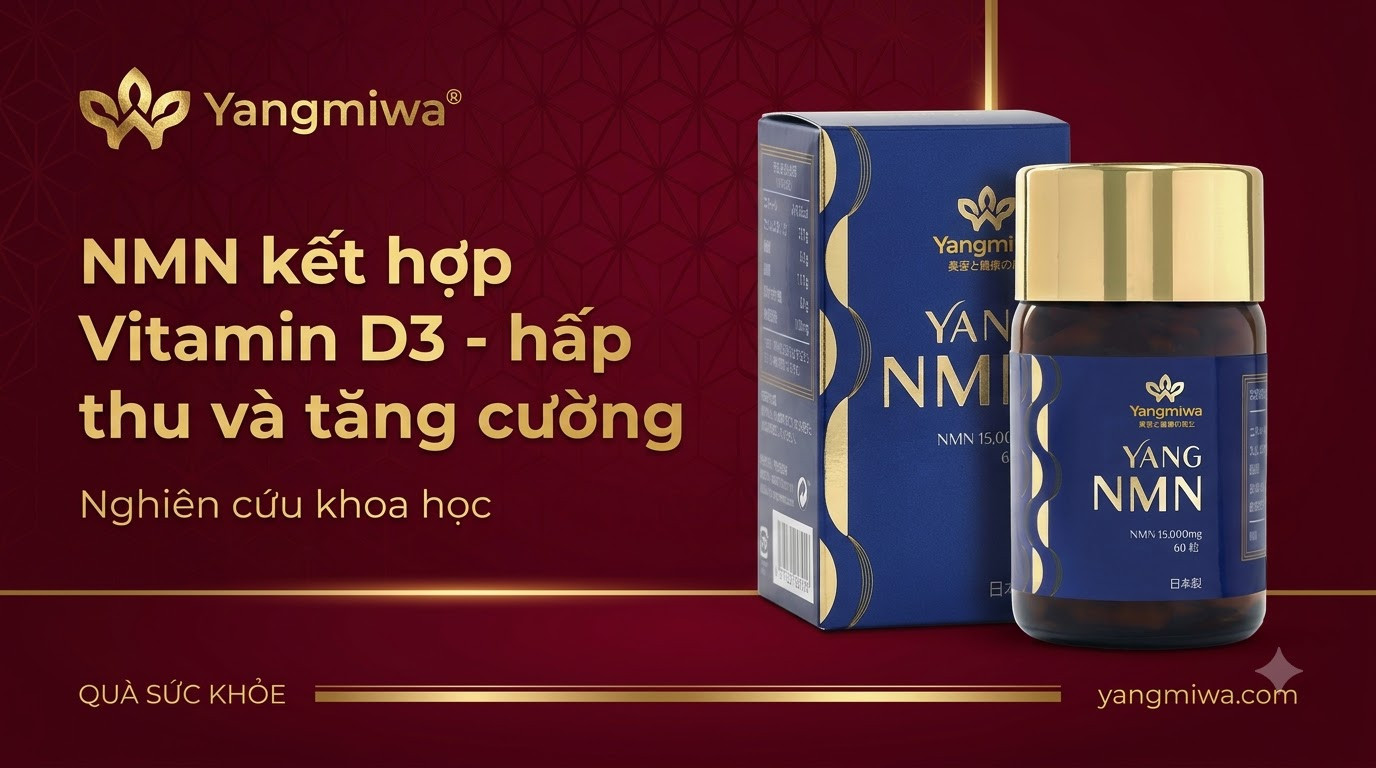 NMN kết hợp Vitamin D3: Bộ đôi hấp thu và tăng cường sức khỏe